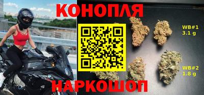 гидропоника Моздок