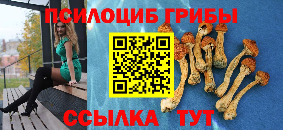 Галлюциногенные грибы мухоморы  Галлюциногенные грибы GOLDEN TEACHER  Вход с VPN  Гагарин 